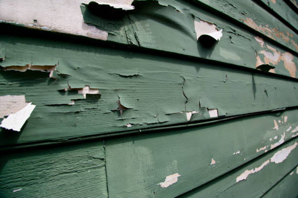 Best Siding Removal and Disposal  in Millsboro, DE